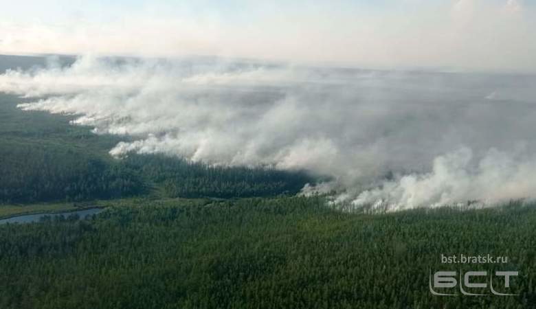 Рослесхоз назвал площадь лесных пожаров за первое полугодие 2021 года