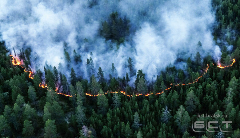 Кузьма Алдаров: Правительство увеличит финансирование регионам в 2022 году на тушение пожаров в лесах