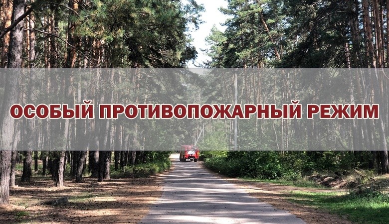 В большинстве районов Иркутской области с 30 апреля будет установлен особый противопожарный режим