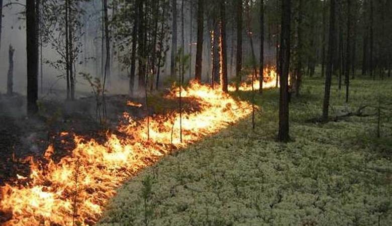 В Приангарье ввели режим ЧС из-за пожаров в Братском и Тайшетском районах